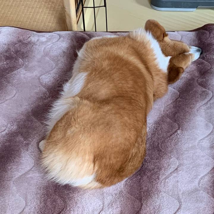 E61e0ca7 58e2 4e44 aed3 203f23971bdb 1614578530017