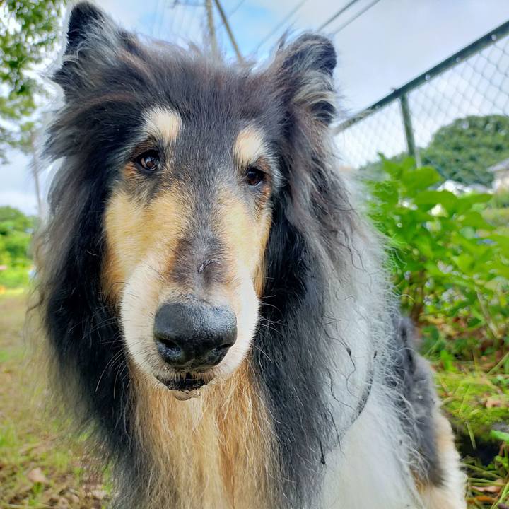 E61e4008 6d04 4f54 9ffe c3b25dcdb4db 1624191028284