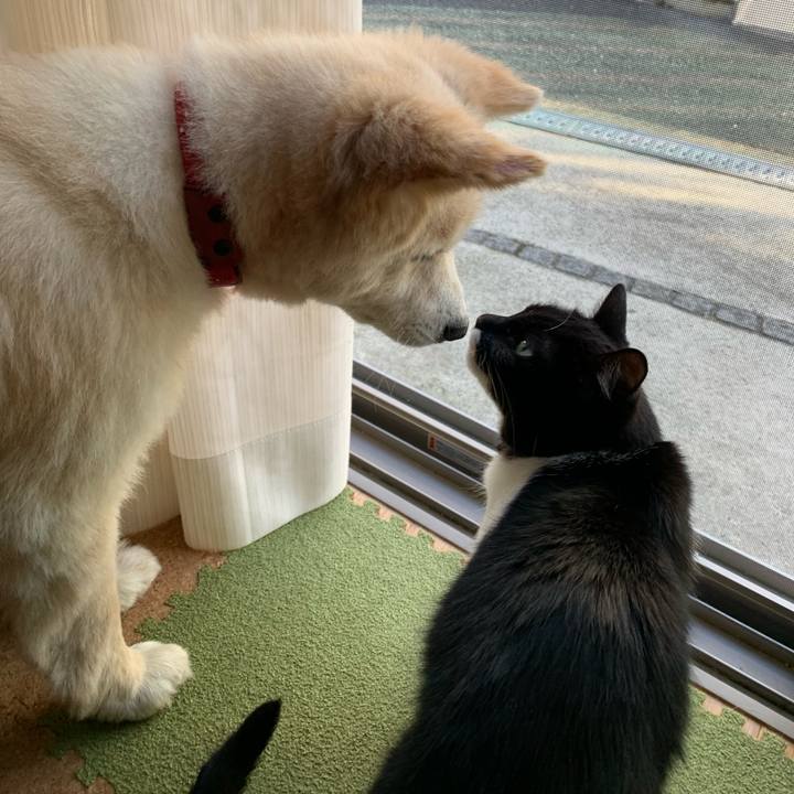 E61e644d 6010 42dd 928e 9dd3aa5f96b5 1654822262003