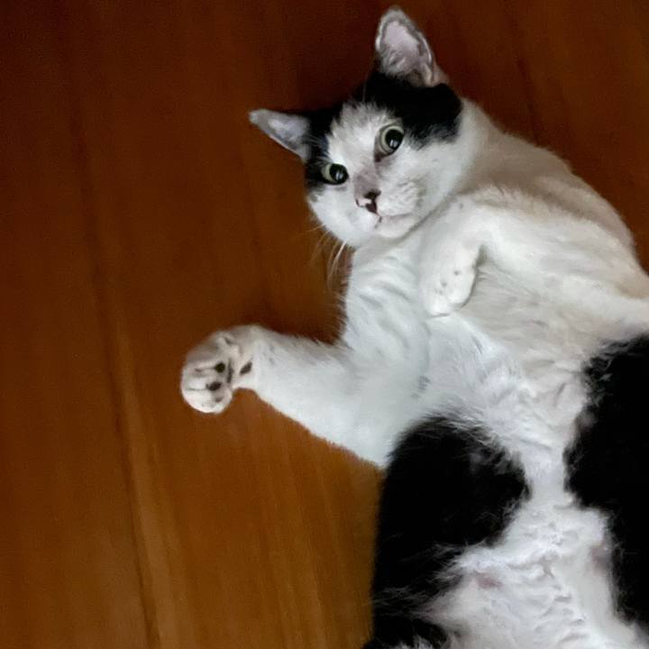 E61e75dc 1bd2 4596 8f4e 360592f9c546 1628042055637