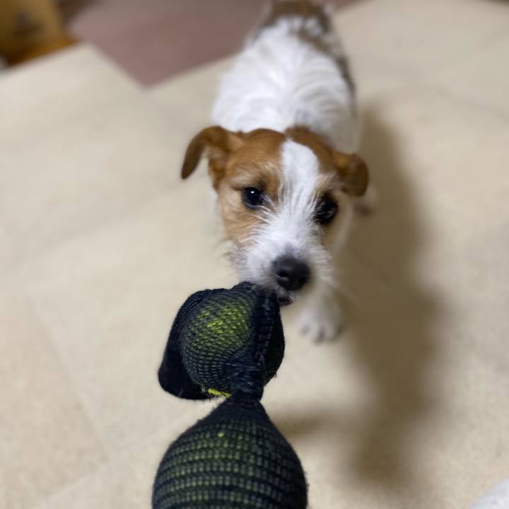 E61e75fe 0c0a 4151 8b9b c6122d681cc3 1741870699882