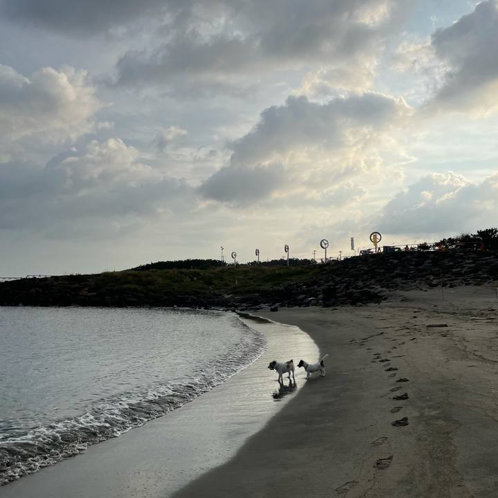 E61e7b4c 74a4 46c5 a664 ac63e56bf172 1633649161410