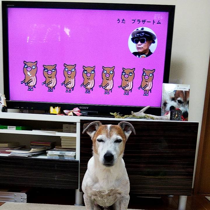 E61e8022 ad0a 4567 b2f9 1ffbec9b900a 1570140824916