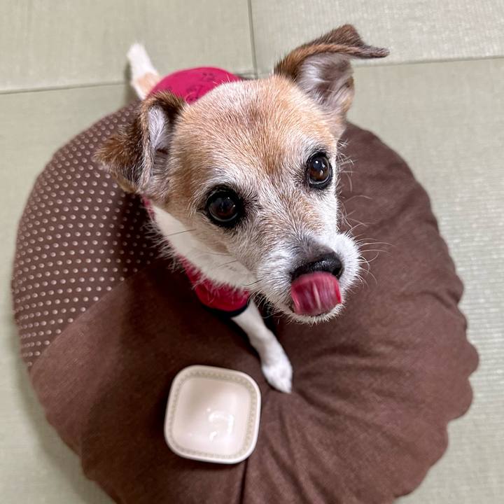 E61e96fe 19db 4c93 ac8e ff4087efd428 1668753312618