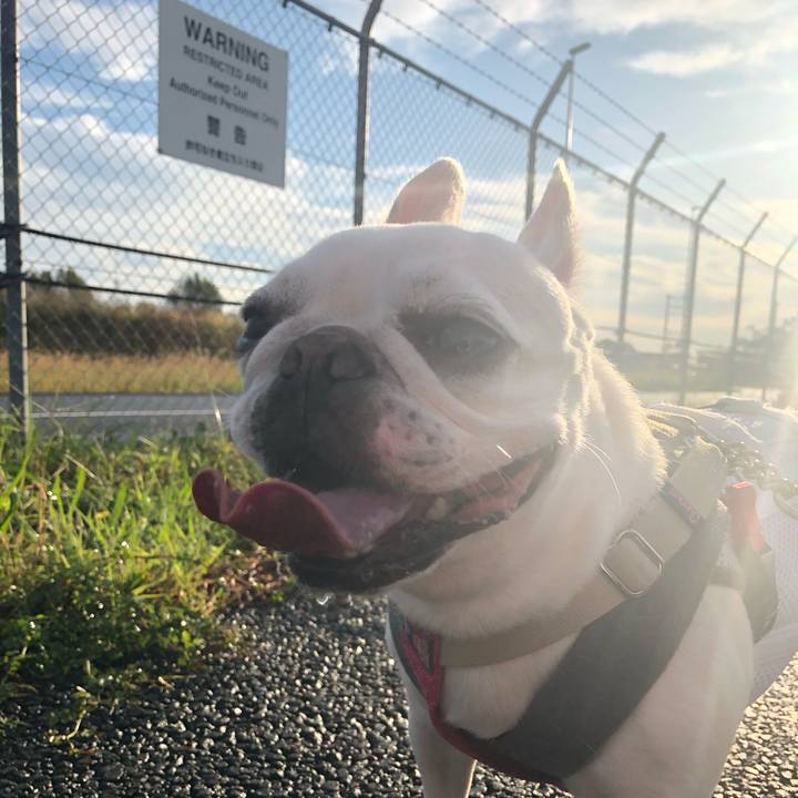 E61eb284 fd0e 46a5 a5f5 73b07a953b04 1572054617201