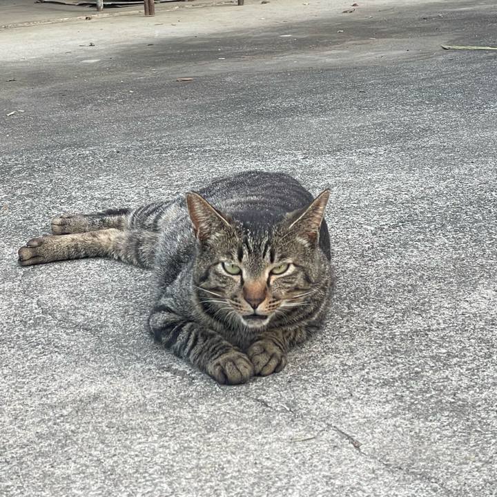 E61ec863 a1be 4ceb ba38 1d2fbf389b46 1716023973303