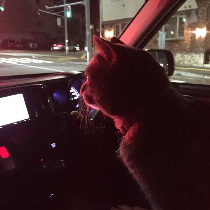 E61ef465 dd0c 47cd bbf1 c250faea7e3a 1540730800017