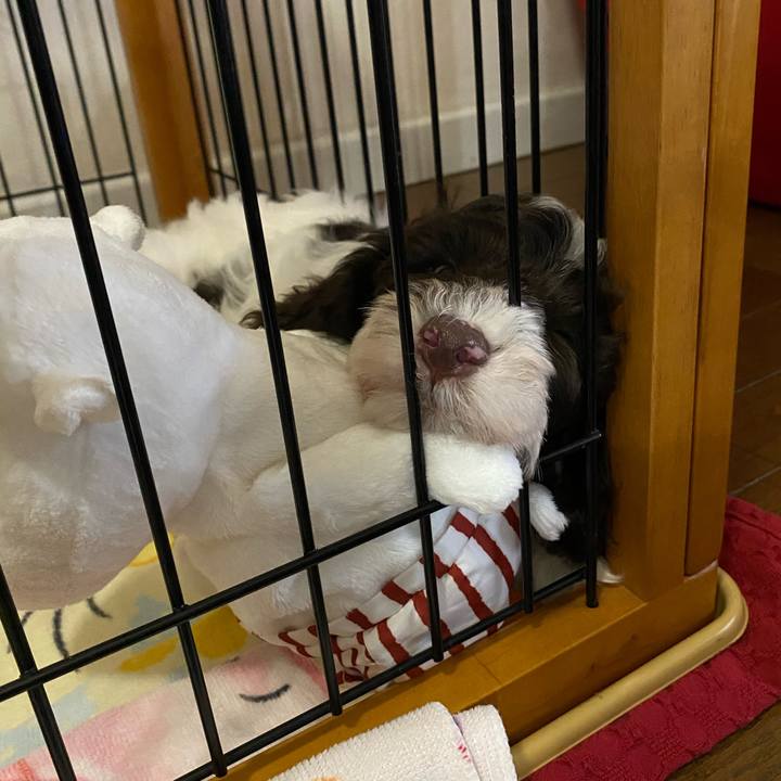 E61efeb9 9733 4633 9003 bc6d89d10b47 1606729257908