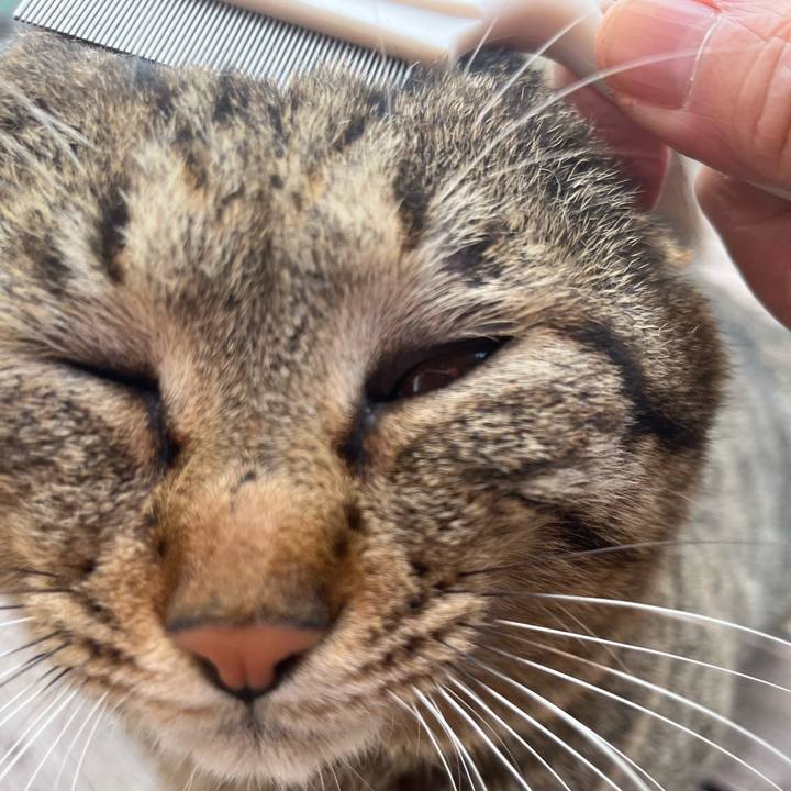 E61effc9 99e6 4783 86a5 331042f7bad7 1746224616701