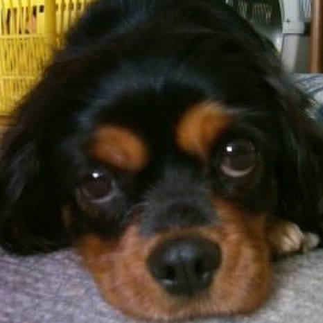 E61f025f eb02 4f5e b89e 989f8f0c97eb 1524925972312