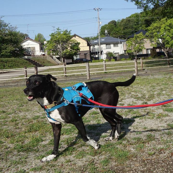 E61f11e4 75ed 452d 94b9 1801548f3e1f 1618706451490