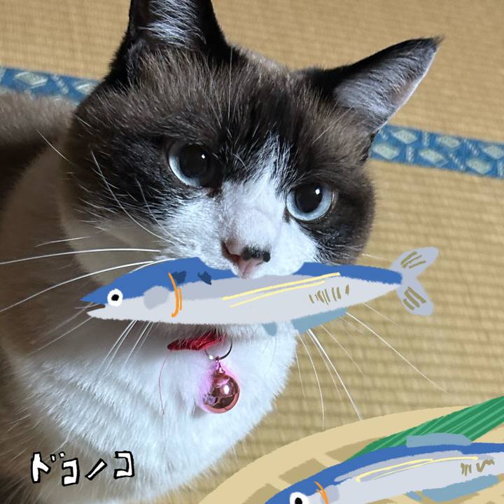 E61f16cb b326 4f6a 8f5d 2655bfd49c1d 1790111505190