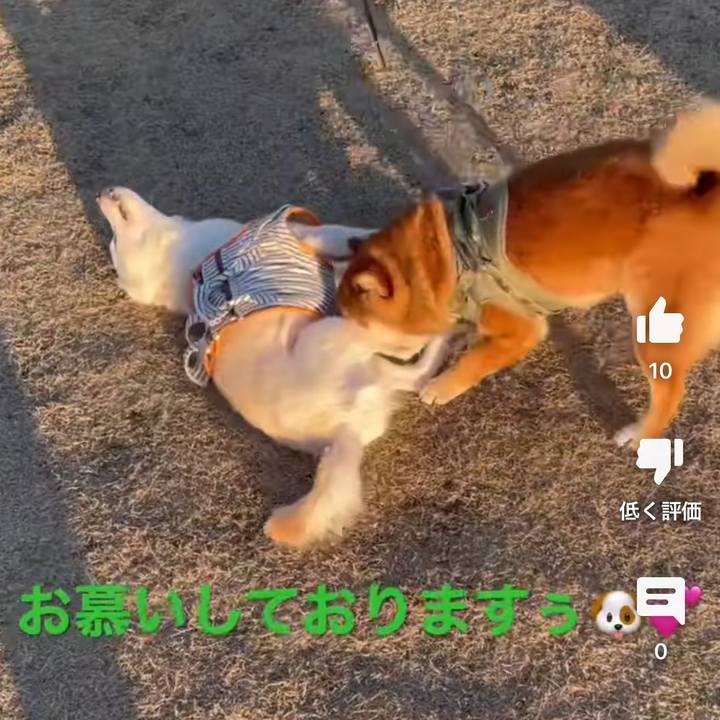 E61f2448 d168 4b85 9654 8c46d905d859 1677411589713