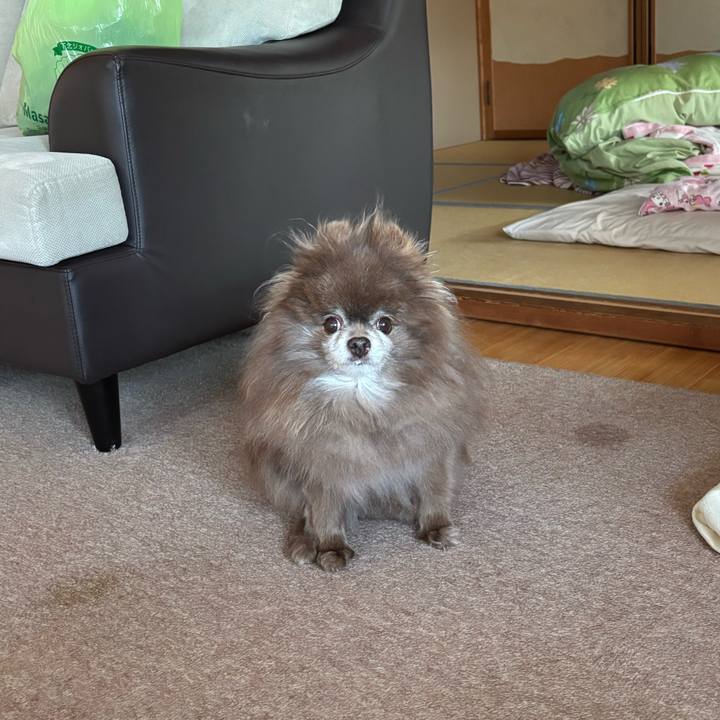 E61f56d8 e9a2 42c9 a558 df808aaf72b1 1746735591076