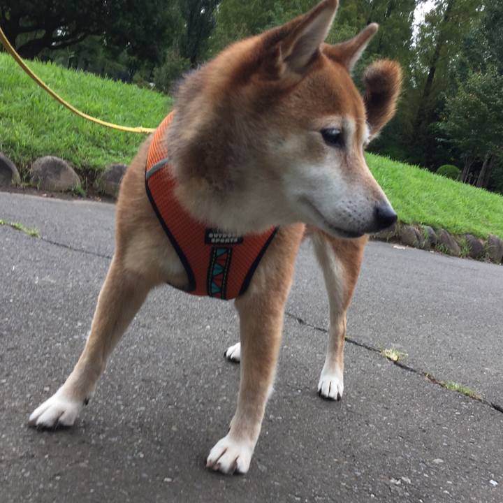 E61f634e 5c25 461e b795 ed088968a4f2 1630923146024