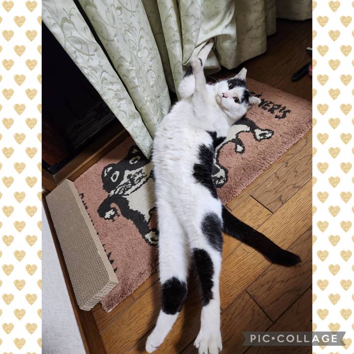 E61f6771 a4c0 4fb1 85b6 85ad02ae0494 1773030430787