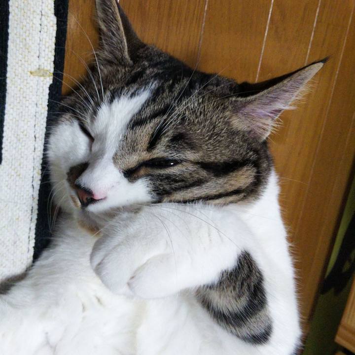 E61f6e1d e619 4271 a09f 018d26a15cee 1626174565495