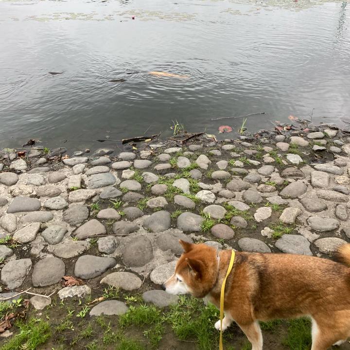 E61f8011 e9f8 4b13 b721 665d0c05038d 1654745238616