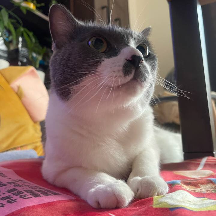 E61f81b0 1977 4520 864e 9600bff00268 1756164290337