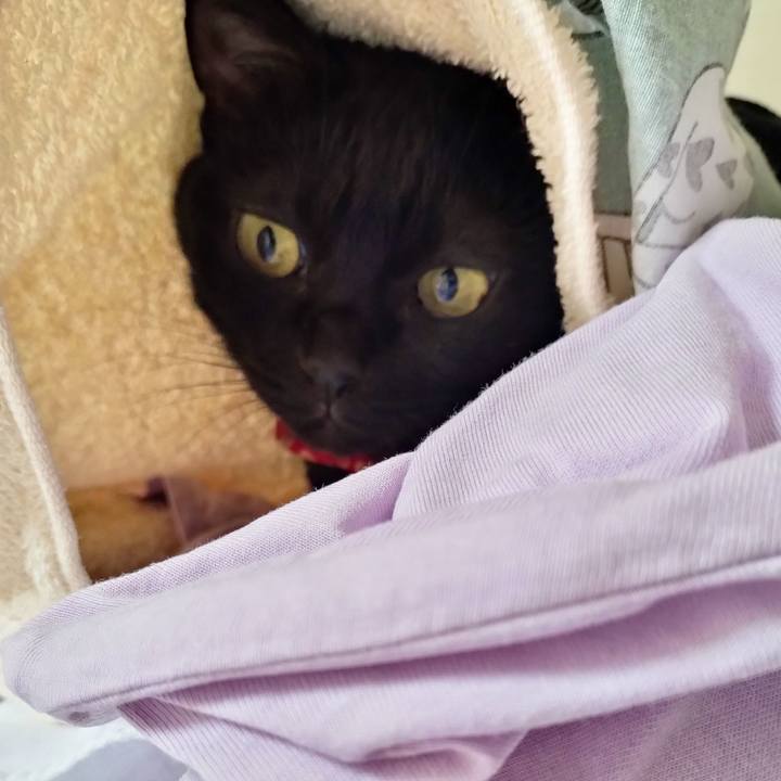 E61fb933 5ff1 47d6 aa8e 886def0289d6 1666650916010