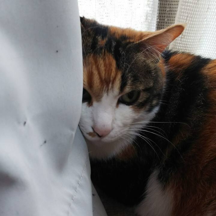 E61fbbb0 dff8 4fa4 bf8e 8a790569685f 1527908193147