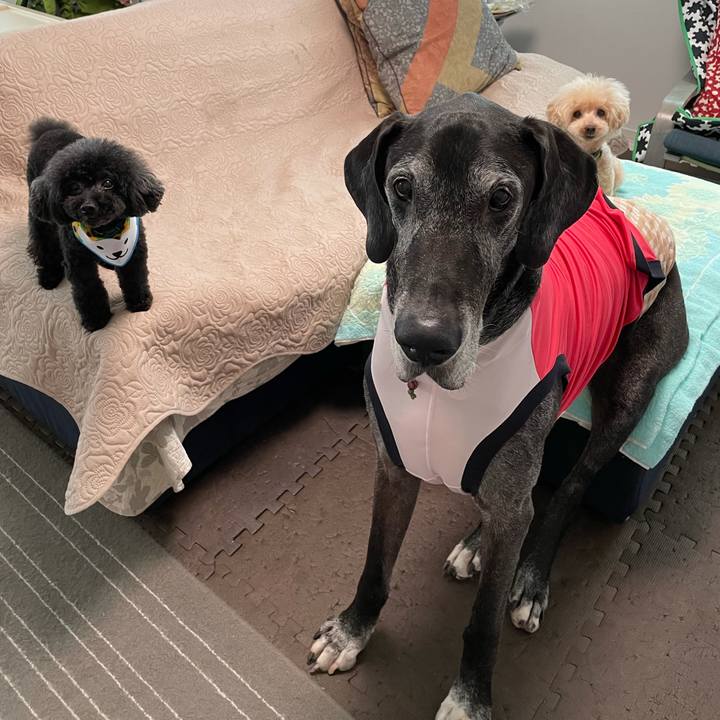 E61fca23 2ace 4e28 93b7 7a614049c9e1 1628547893364