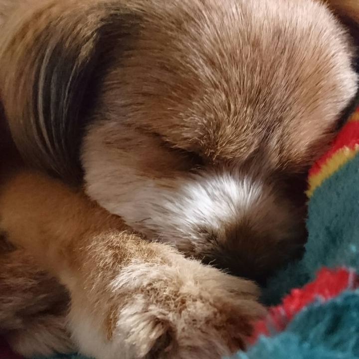 E61fceda 8212 4a5b 9050 731d382b089f 1530452900219