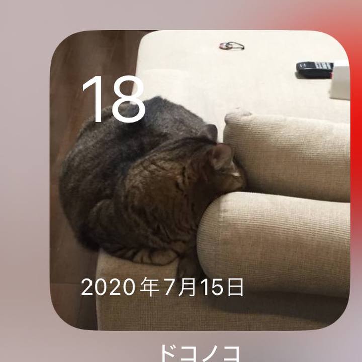 E61fd36e ca29 4ba1 8cc4 a059e253644a 1721256883990