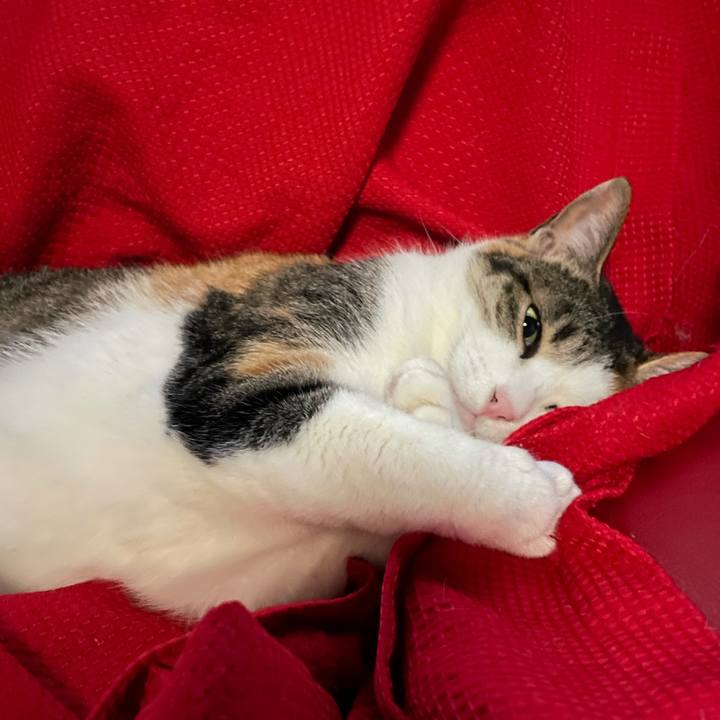 E61ff800 1627 4526 9aa3 e00d974ae41c 1615668807206