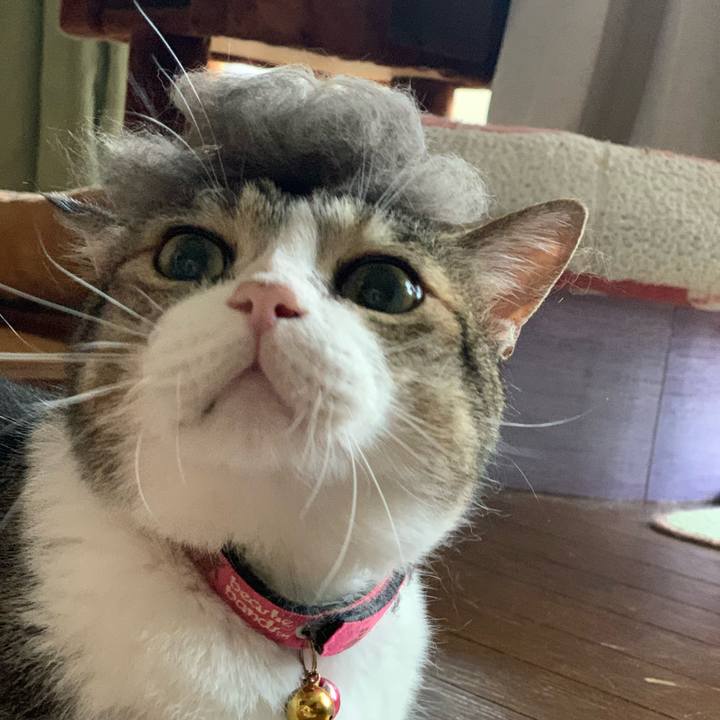 E6201276 94c8 4864 9831 3c6f39f84be4 1689383501743