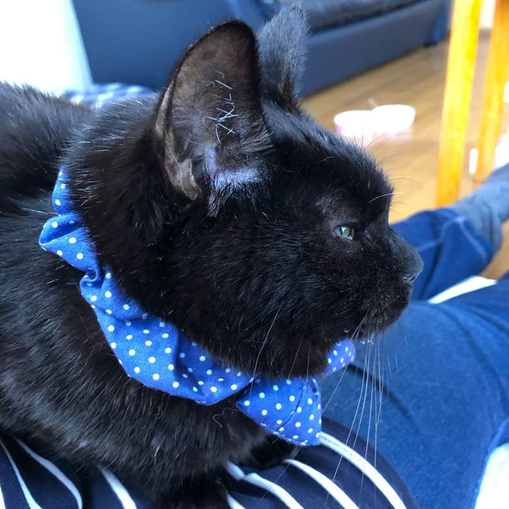 E6203125 3477 4dd0 88dc dfe9148423db 1553668734834