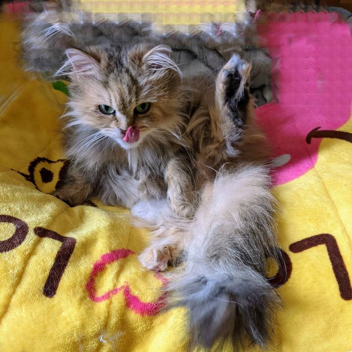 E6206deb cf0f 486c a874 d51eba6b689d 1650258514911