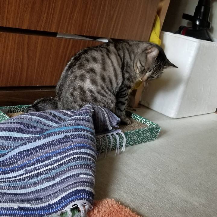 E6208f80 66a9 4c89 8eb5 608896eb4ec4 1689816643009