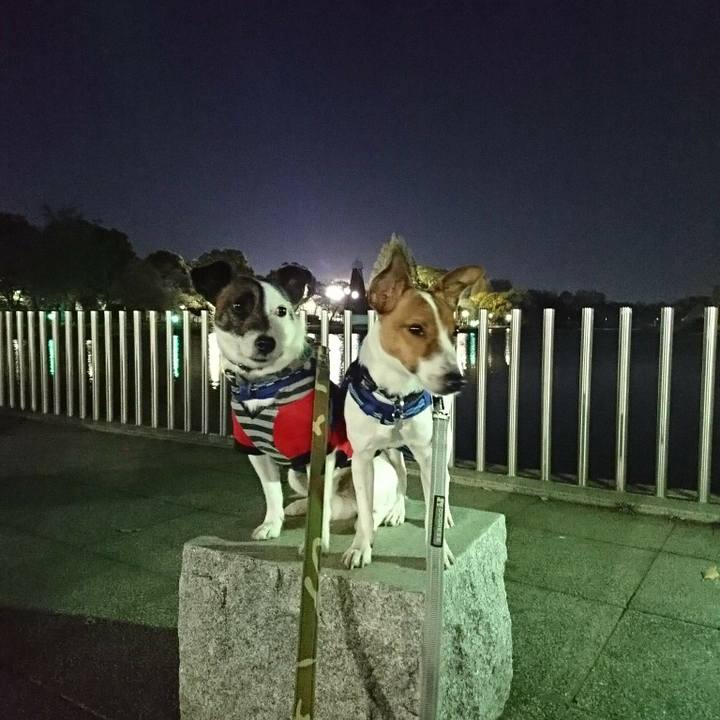 E620d04b f7cd 43ad bc8d c8acc845767d 1524138056160