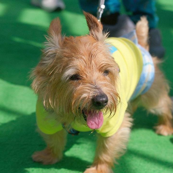 E620ec46 5e5e 4fb1 a883 b6aee4776e4b 1762690195028