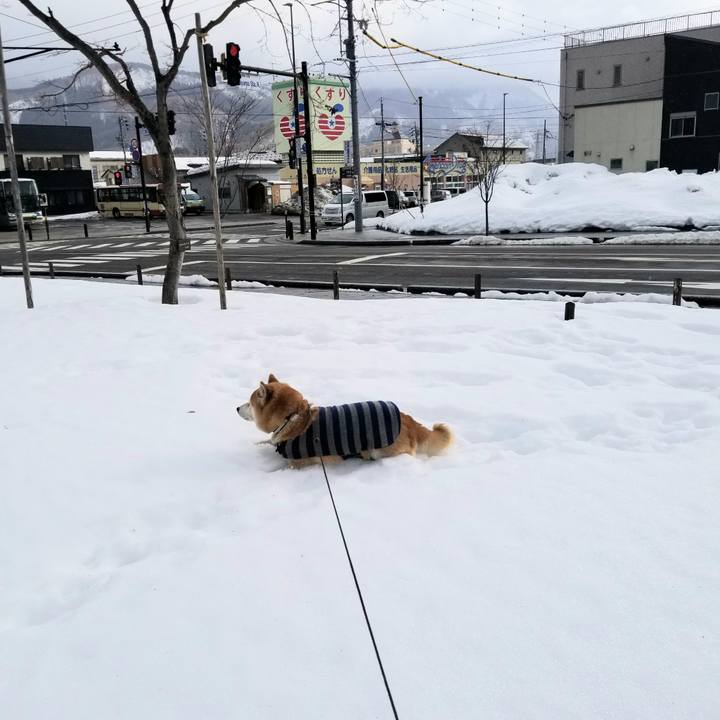 E620f0d1 9453 4287 8071 9240781340a4 1611725979814