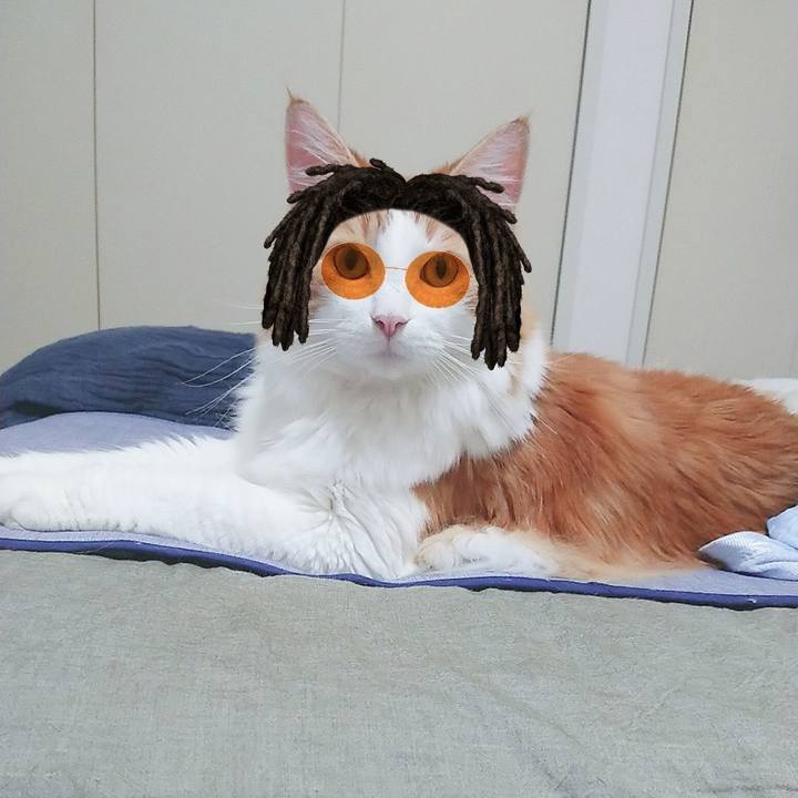 E62119e1 0d39 4827 a5db 7a5e1222e9a1 1565582194321