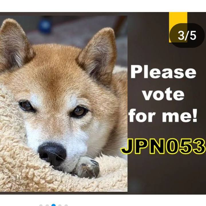 E62130d2 1986 48dd b382 d512fcf8548b 1725943328818