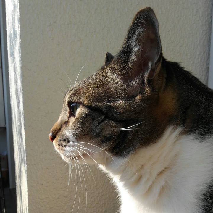 E6214abe c069 4240 a9f4 605d13fe2357 1516500325060