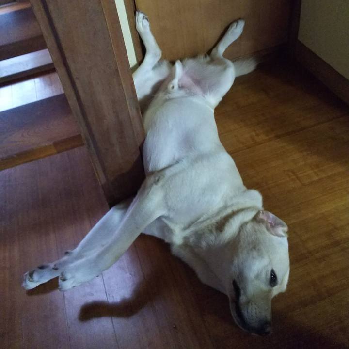 E621708c ea5c 42a9 b431 6096fd622156 1533554854425