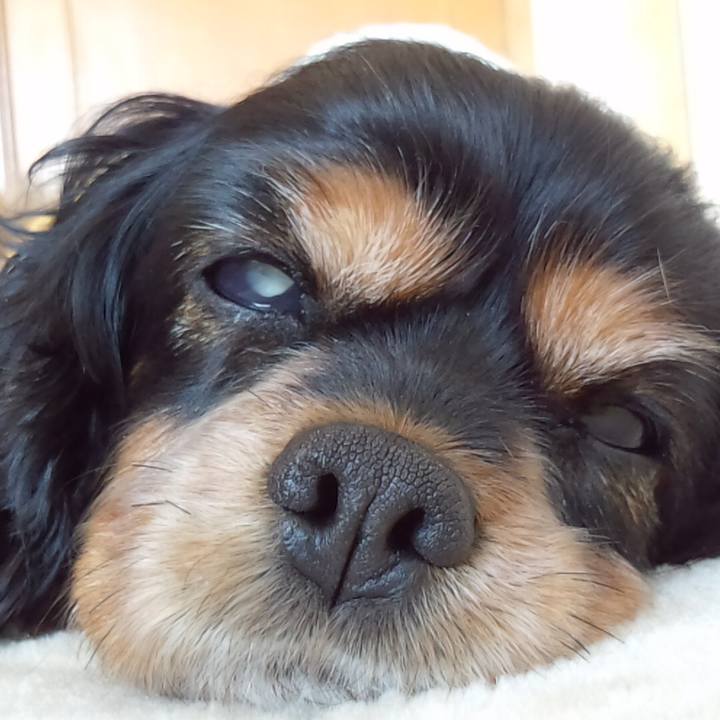 E6217a67 ea89 4578 9752 e1971f9741be 1607395902441