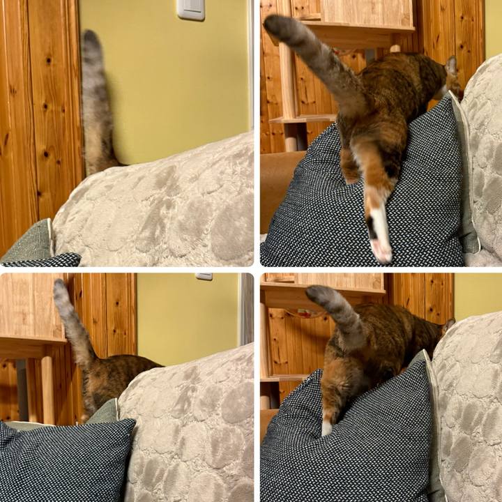 E621a1cb 899f 48a8 bddc 5e9c079ce327 1761994982237