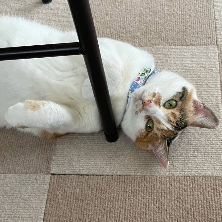 E621b010 2739 4d60 8ee0 4954b087708d 1690149249250