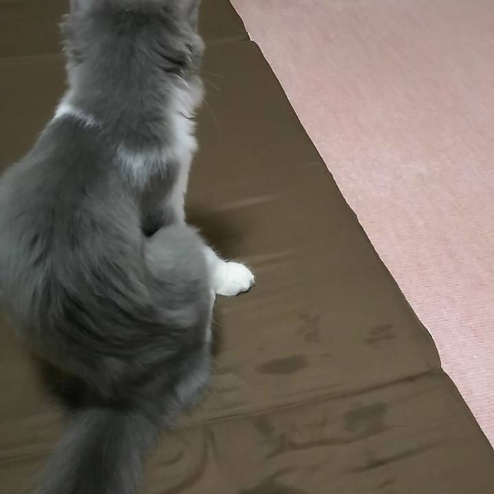 E621ce2d fae8 4998 ba61 6a58a07b3ce8 1566685004428