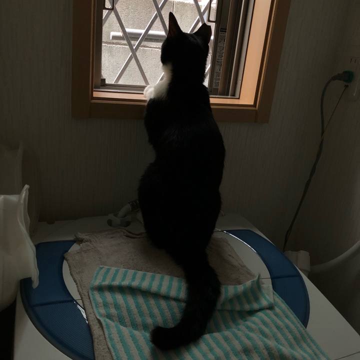 E621eeb9 a45f 4345 b3eb 30852daba298 1531132192004