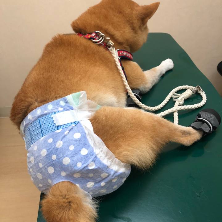 E6223ca5 e371 49fa 9498 b28eef9da9c0 1601549296880