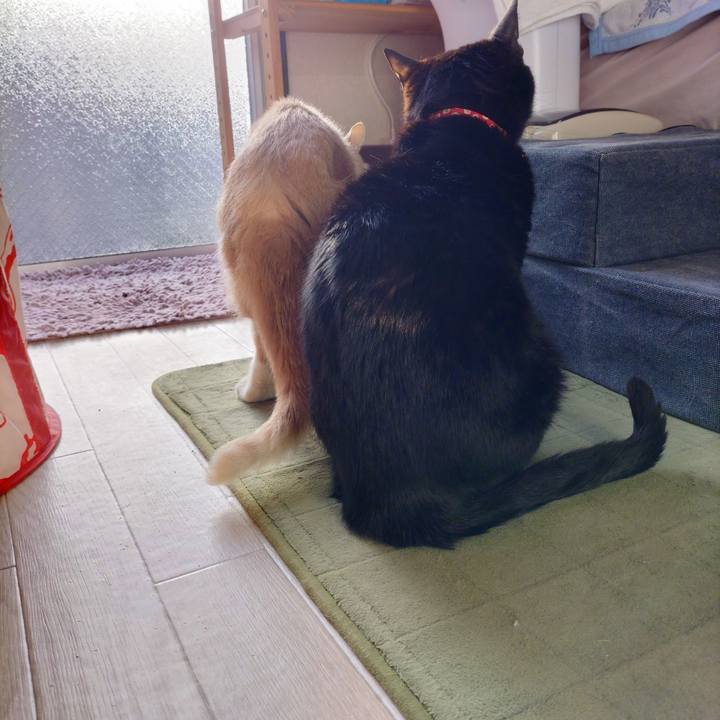 E6226175 09f6 42eb 9164 3058f3106f10 1679871301234