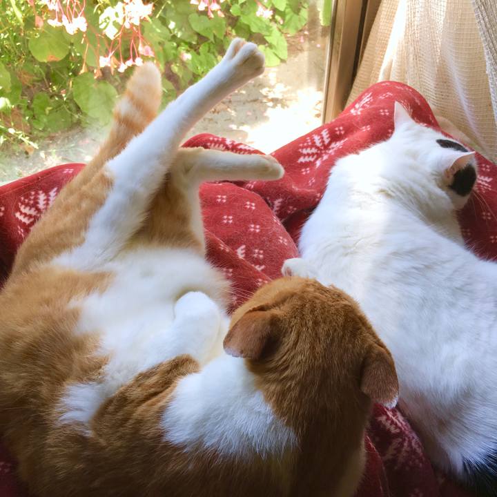 E622664d 8d52 49d4 9fab 47f699d9b6a9 1569379613524