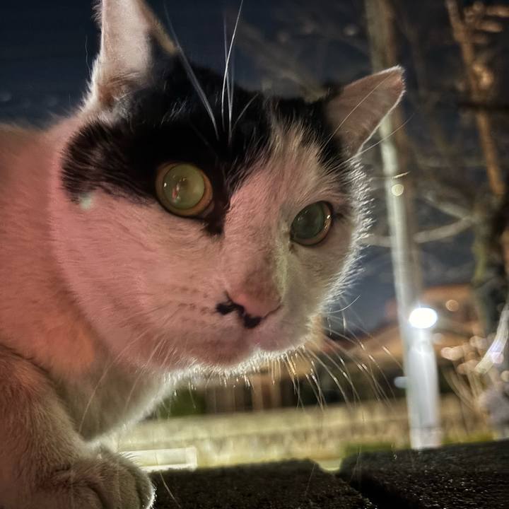 E62276f6 72cb 4ef8 b94e 4fd1db17a144 1773896660730