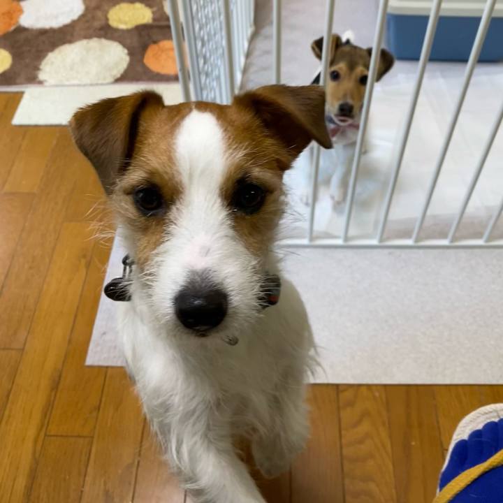 E6227db7 b768 4965 89f3 5ea7ec1b3e0a 1744844410534